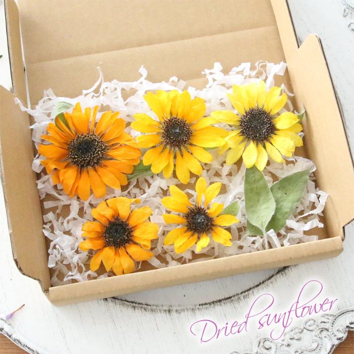 ドライフラワー 花材 （ ひまわり5輪 ） : 花ギフト・手作りキット