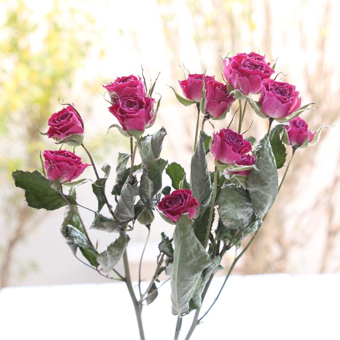 スプレーバラ ピンク系 【長さ約30cm・枝3本】 ドライフラワー 送料