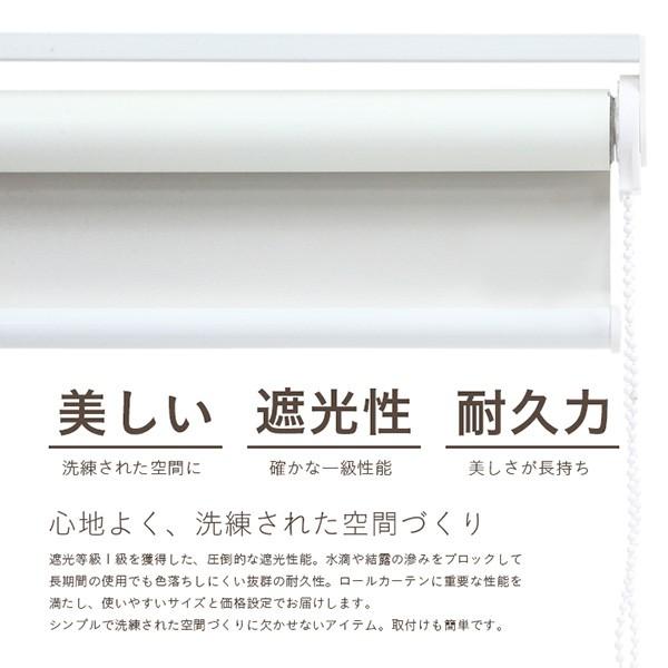 ロールスクリーン ロールカーテン ロールブラインド 幅80cm 遮光率