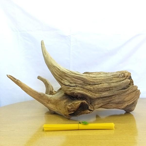 流木 販売 群馬 天然木 インテリア 中型 ryuboku-001 : 有限会社