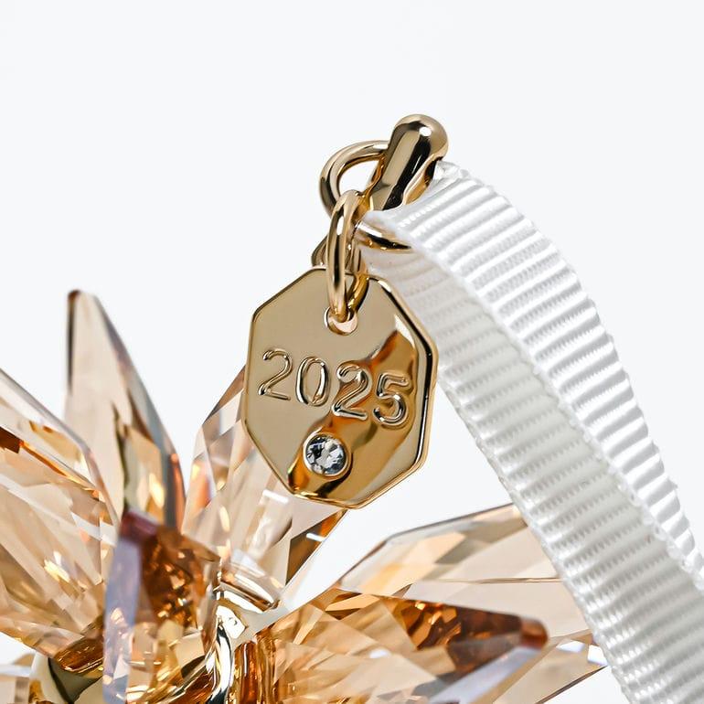 SWAROVSKI（スワロフスキー） オーナメント Annual Edition Festive 3D