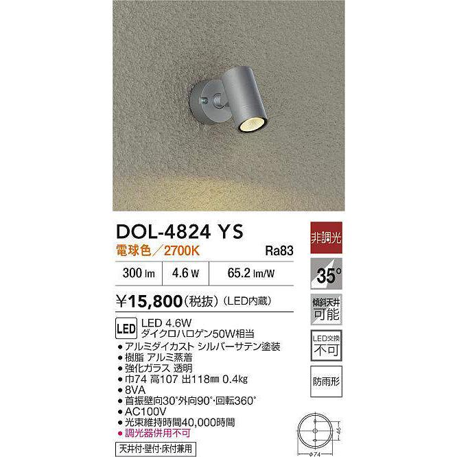 大光電機 アウトドアスポット DOL4824YS 工事必要 : アート