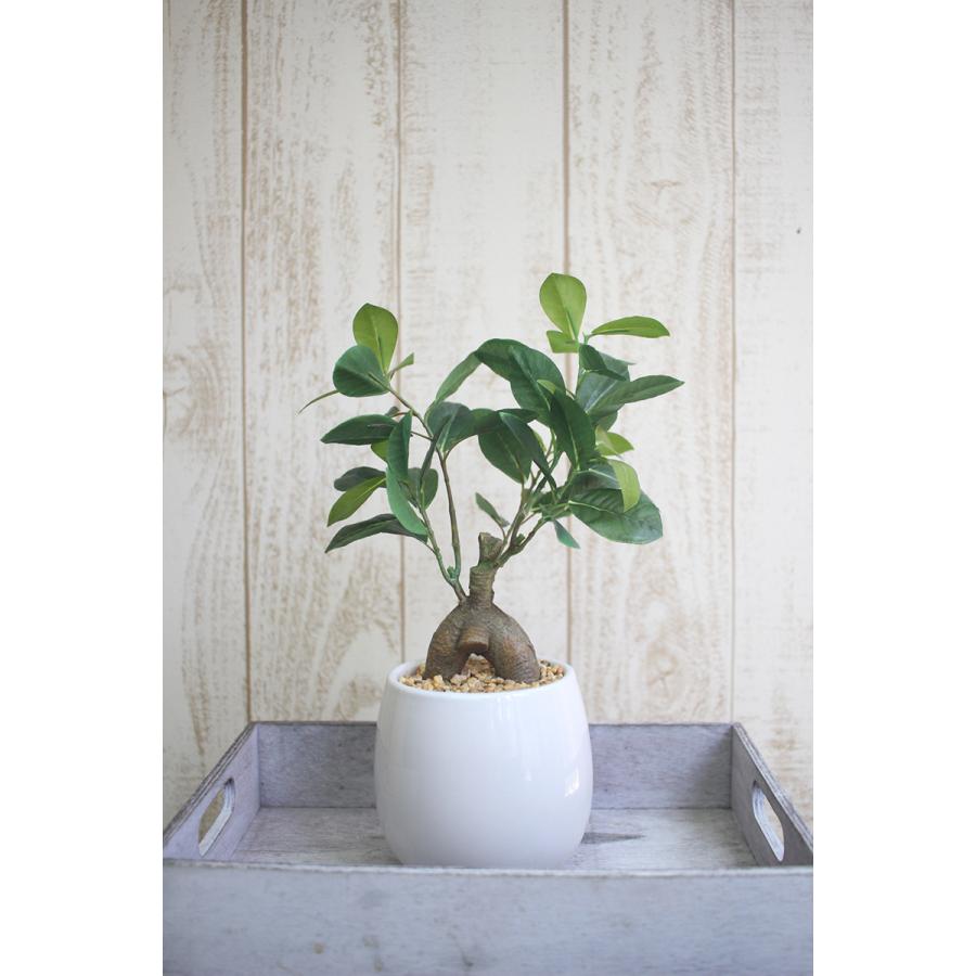 人工観葉植物 造花 27cm ガジュマル インテリアポット 男前インテリア