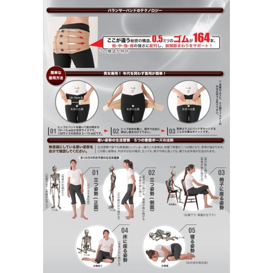 ヘルスパワー バランサーバンド ナカイ ウエスト ヒップ 腰部 股関節