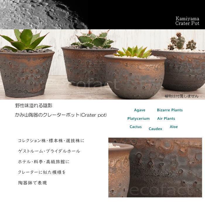 陶器鉢 植木鉢 5号 クレーターポット 中深丸 おしゃれ プランター 園芸