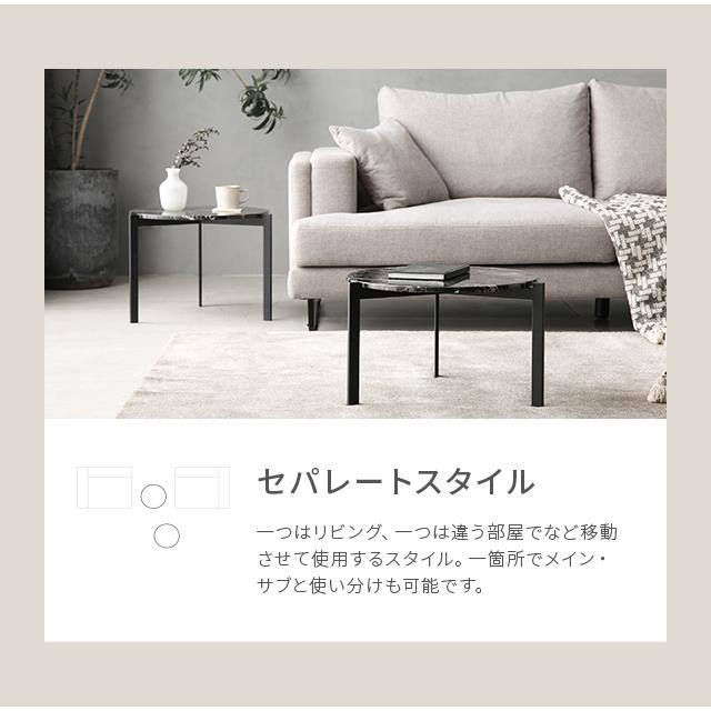 ARMONIA（アルモニア） センターテーブル 大理石テーブル セパレート