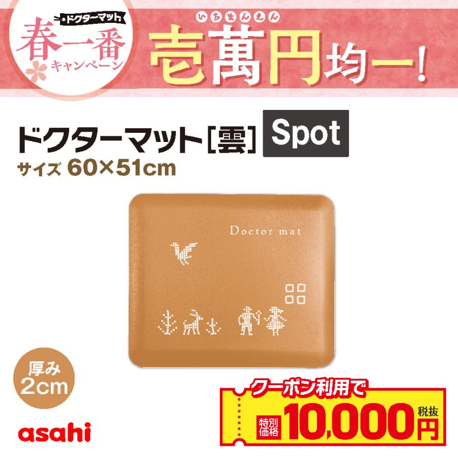 アサヒ軽金属 ドクターマット雲 Spotサイズ マット キッチンマット