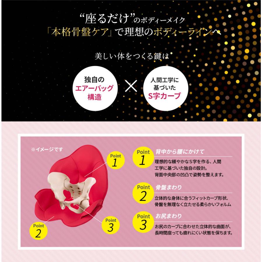 ブランド公式＆送料無料】芦屋美整体 骨盤スリムスタイリーエアー