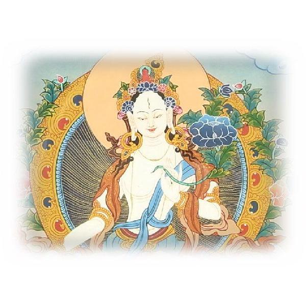 タンカ (チベット仏教 仏画) ホワイトターラ菩薩 約40x30cm グレードB