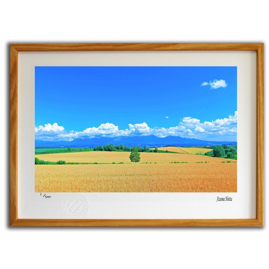 版画 絵画 北海道の田園風景002 美瑛 堀田東 壁掛け 壁飾り インテリア
