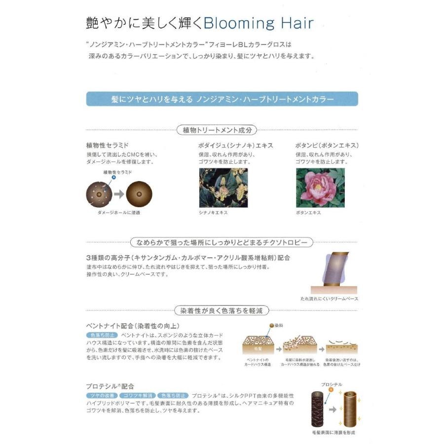 FIOLE（フィヨーレ） NEW BLカラーグロス 染毛料 900g【宅急便対応