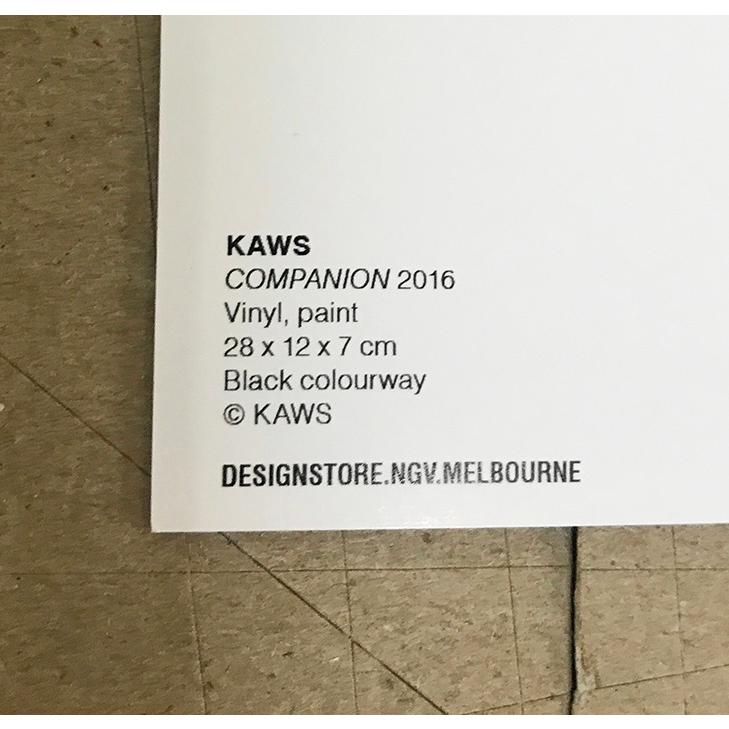 限定マット額装品/Kaws COMPANION（ブライアン・ドネリー） 額装品