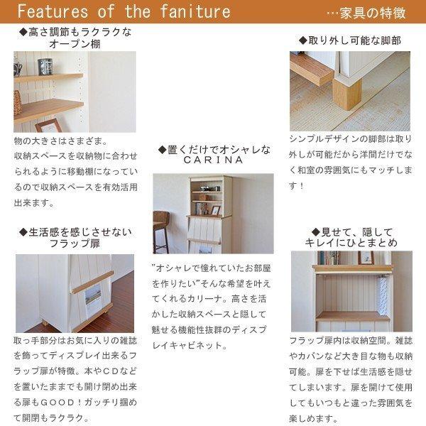 タカシン家具工業 本棚 ディスプレイラック 書棚 A4 雑誌 コミック 扉