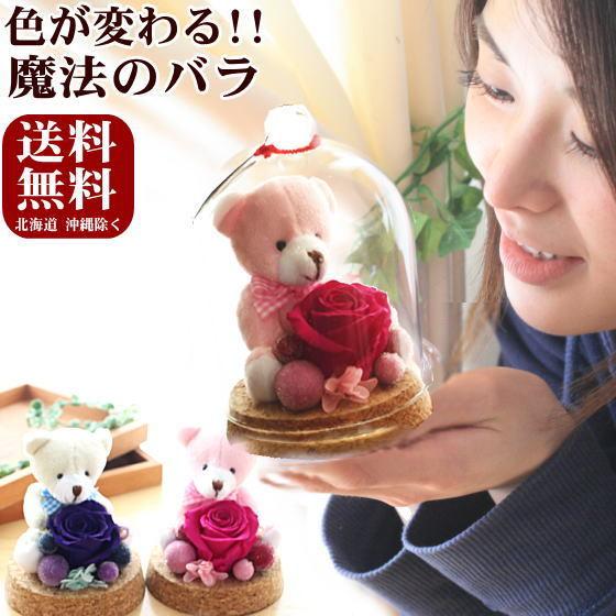 ガラスドーム ぬいぐるみと花 誕生日の花 色が変わる魔法のバラ KUMA