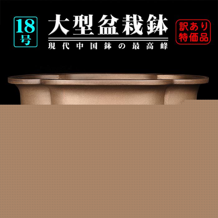 盆栽鉢 烏泥外縁胴紐木瓜式鉢 植木鉢 中国鉢 張氏製陶 落款あり 18号