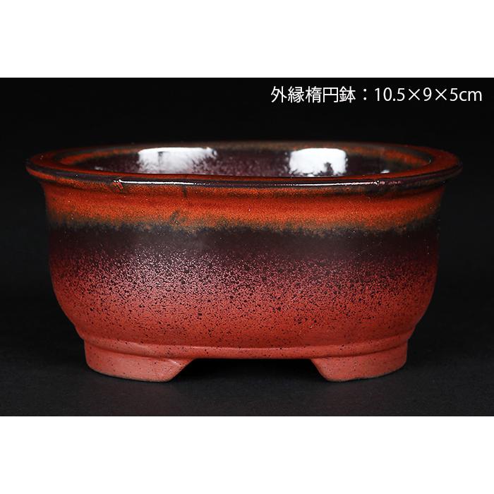 盆栽鉢 植木鉢 「瀬戸焼文山窯赤釉窯変小鉢4点セット」 色鉢 3号 10cm