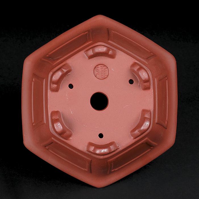 盆栽鉢 紫泥外縁額面六角鉢 朱泥 植木鉢 中国鉢 泥鉢 懸崖鉢 陶器 6号