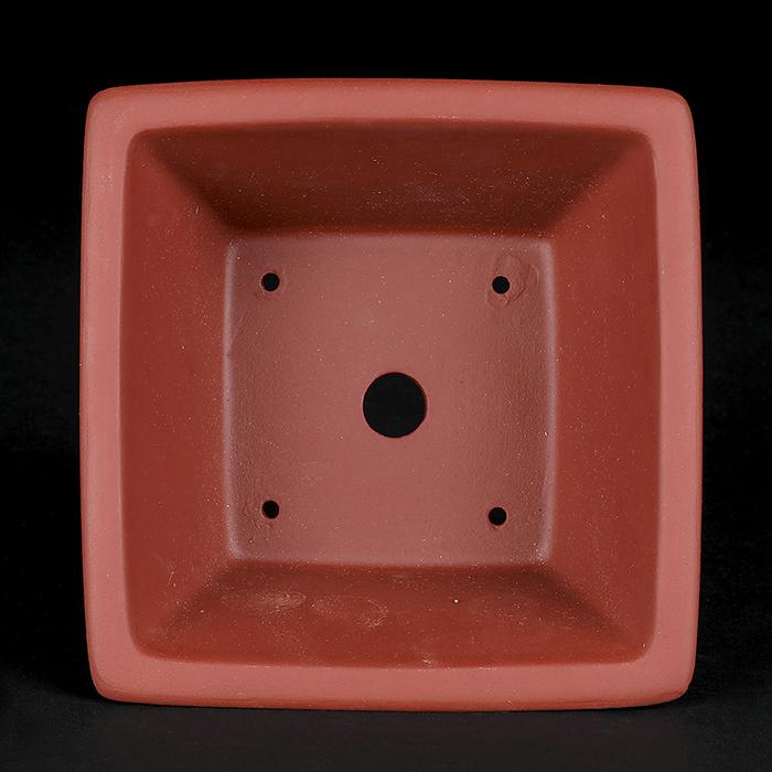 盆栽鉢 紫泥額面正方鉢 朱泥 植木鉢 中国鉢 泥鉢 懸崖鉢 陶器 5号 16cm