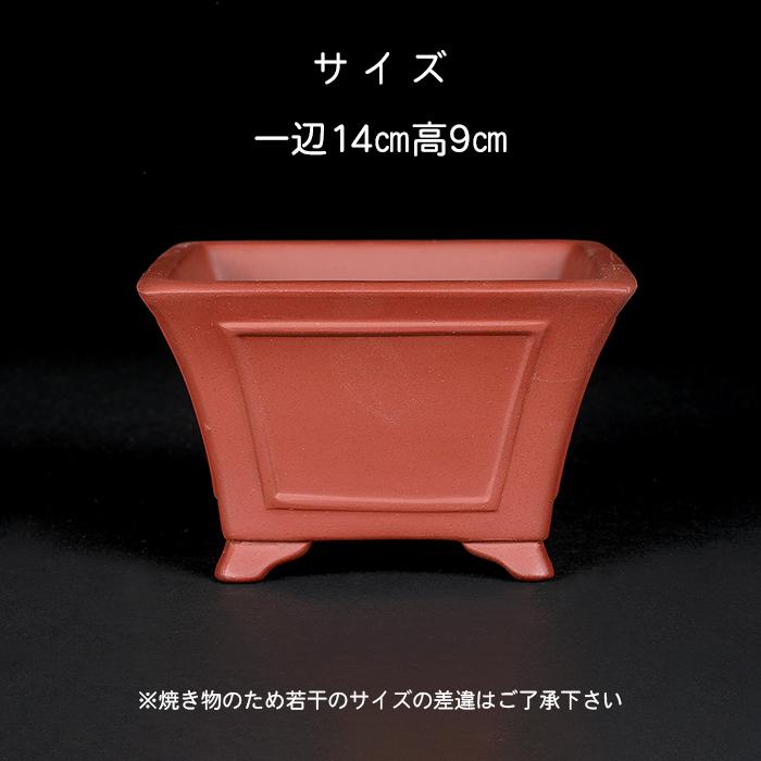 盆栽鉢 紫泥額面正方鉢 朱泥 植木鉢 中国鉢 泥鉢 懸崖鉢 陶器 5号 16cm