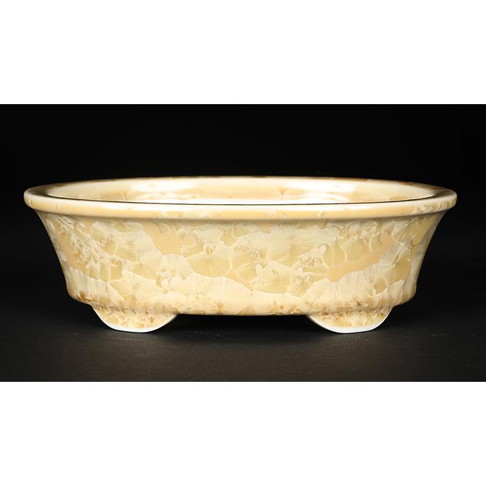 盆栽鉢 植木鉢 「平安泉山黄花結晶楕円鉢」 山草鉢 清水焼 京焼 磁器 6