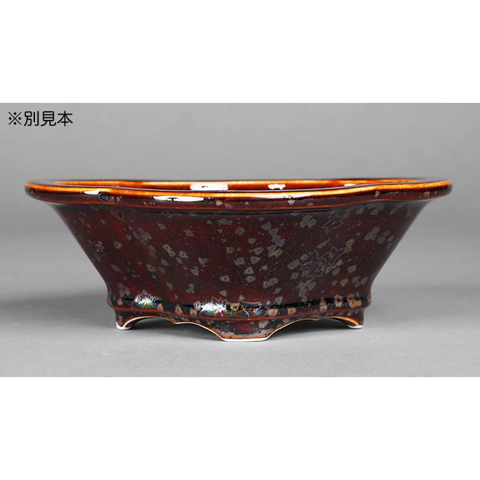 盆栽鉢 植木鉢 「平安泉山辰砂釉星結晶木瓜式鉢 小」 山草鉢 清水焼 京