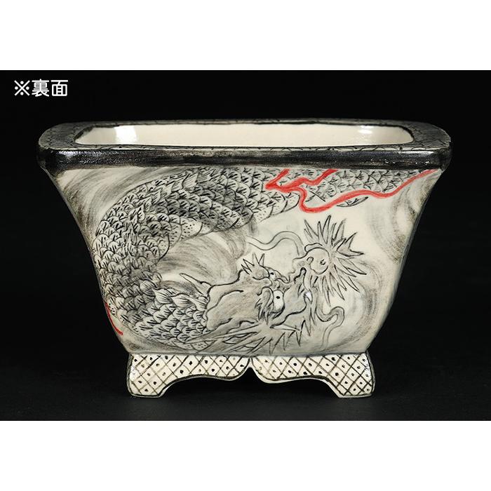 盆栽鉢 「春雪墨絵龍図長方鉢」 植木鉢 絵付 シュンセツ 磁器 4号 12cm