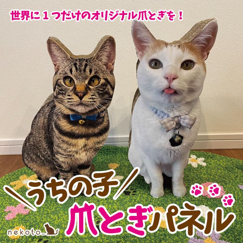 nekoto_うちの子爪とぎパネル : バンドー - 通販 - Yahoo!ショッピング