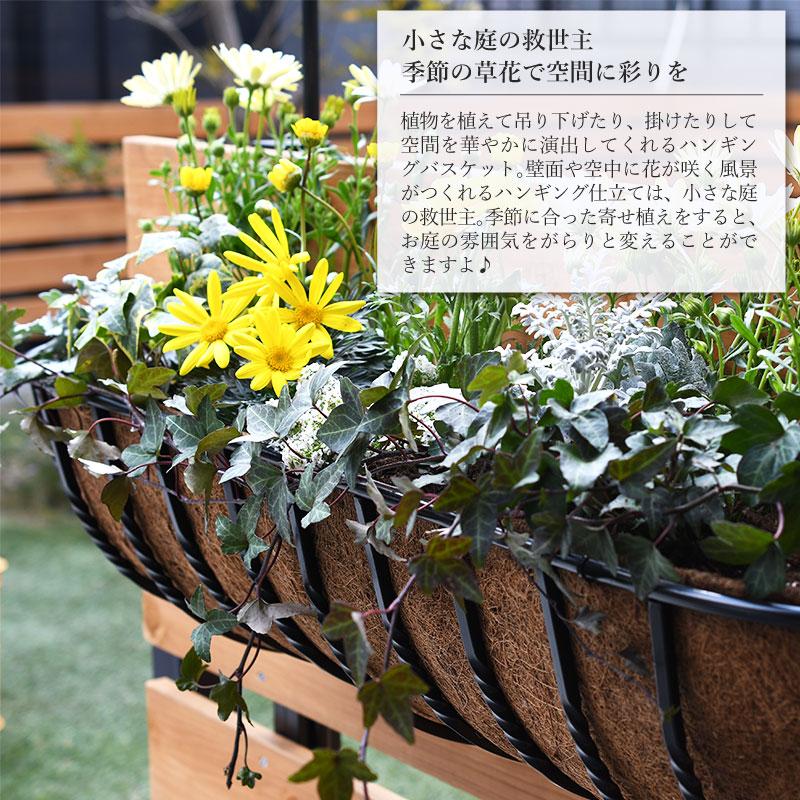 壁掛け ツイスト ハンギングバスケット 60cm ヤシマット付きセット