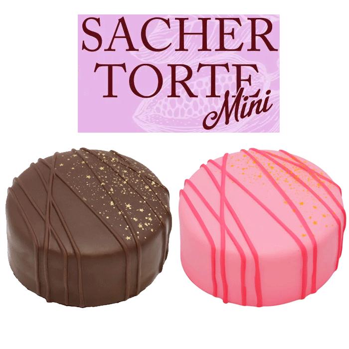 BLOOM ブルーム スクイーズ マシュロ ザッハトルテミニ : basicbag