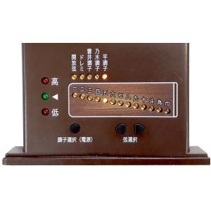 NEO-KOTO輝（ネオ・コト） ネオ箏 新学習指導要領に適した和楽器 琴