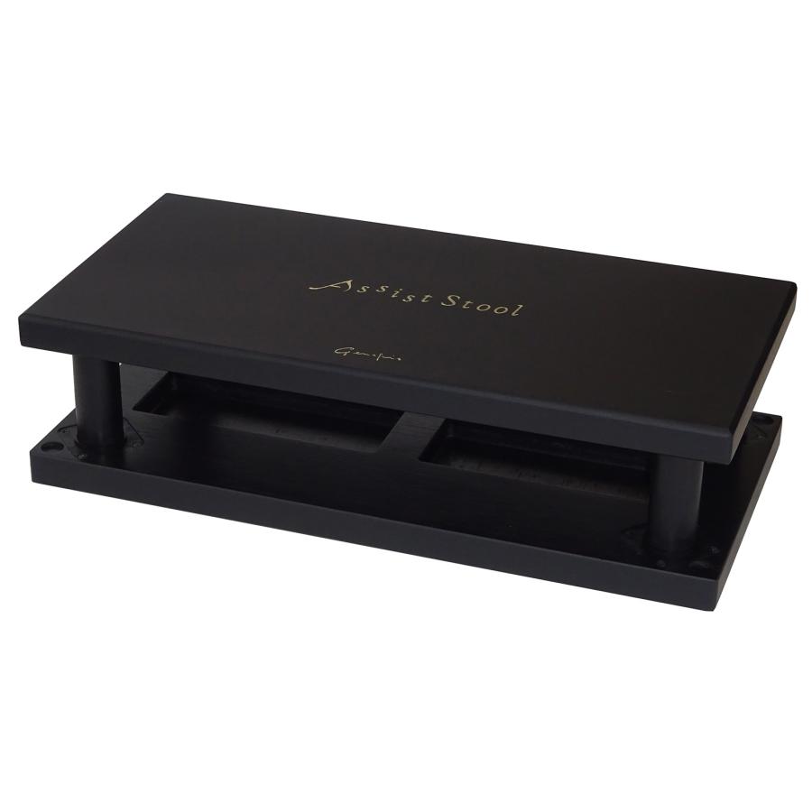 吉澤 【its】2023年秋・改良最新型入荷！YOSHIZAWA Newアシスト