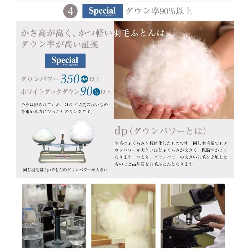 フランスベッド（FRANCEBED） オールシーズン対応羽毛ふとん シングル