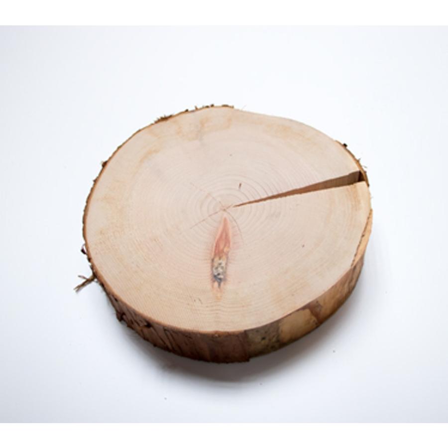 川島材木店 丸太の輪切り Lサイズ3枚セット 直径約24x厚さ3cm 丸い木