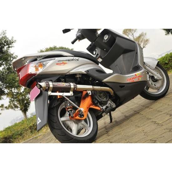 シグナスX マフラー BURIAL ベリアル Y17-23-03 GPバージョンマーク3SR