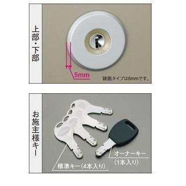 GOAL 三協アルミ 玄関ドア 交換用シリンダー GOAL STK D9キー WD5118