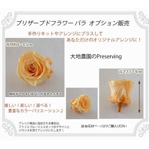 スワッグ 手作りキット ミモザ 玄関 玄関リース 造花 新築祝い お洒落