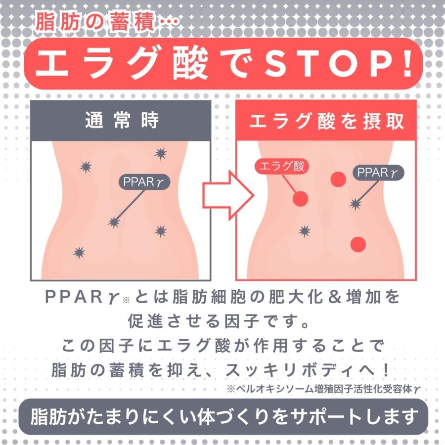 5のつく日□限定クーポン発行』キラーバーナー2 KILLER BURNER 2