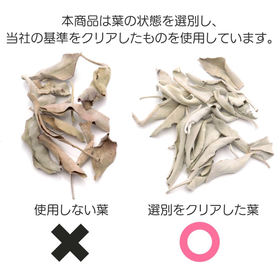 GOLD STONE ホワイトセージ 枝無し 選別済み 無農薬 オーガニック