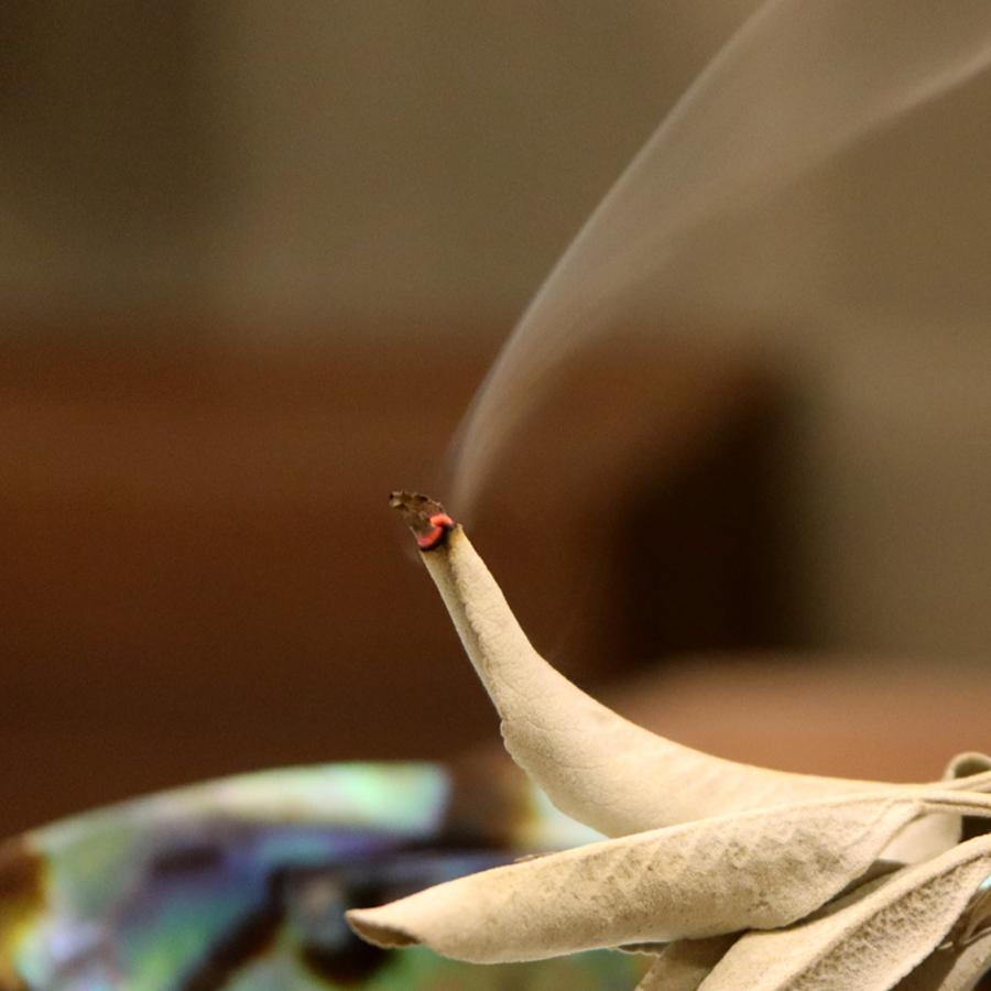 GOLD STONE ホワイトセージ 枝無し 選別済み 無農薬 オーガニック