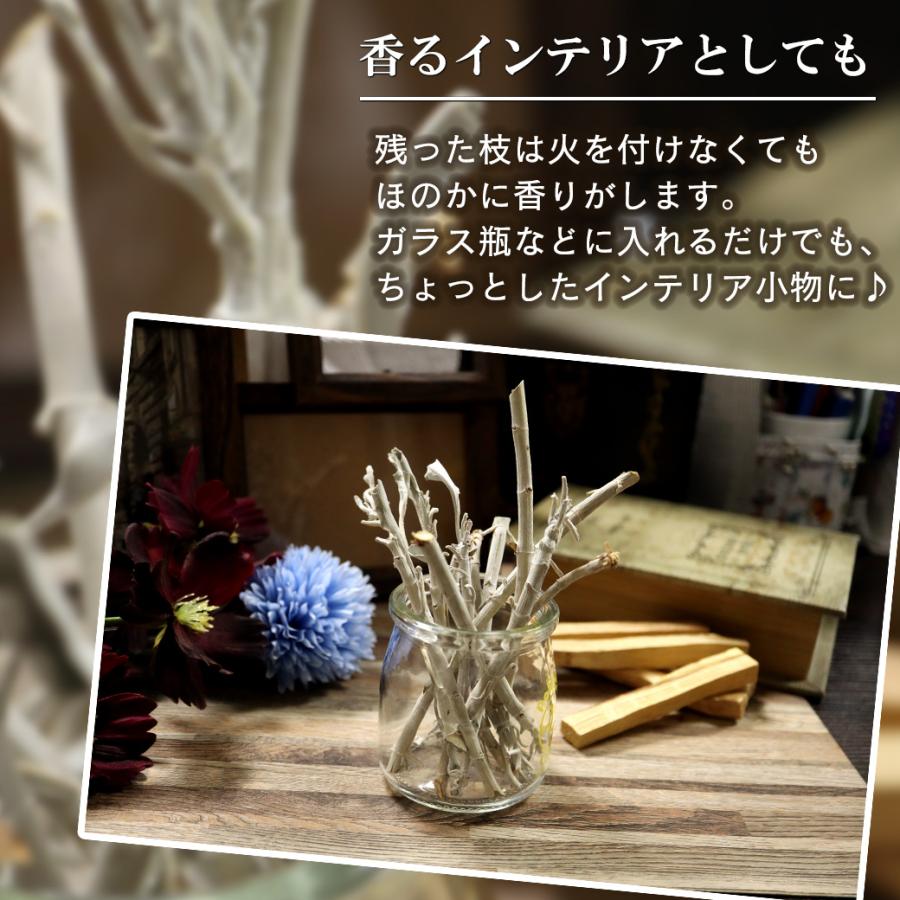 GOLD STONE ホワイトセージ 枝付き 選別済み 無農薬 オーガニック 高