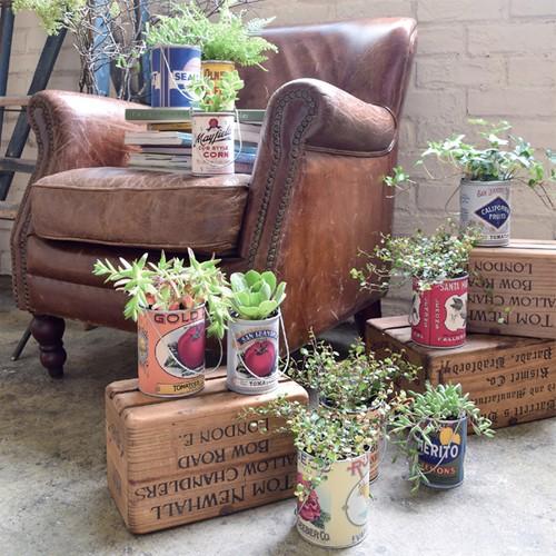 ヴィンテージ リメイク缶 2点セット ガーデニング プランター 鉢