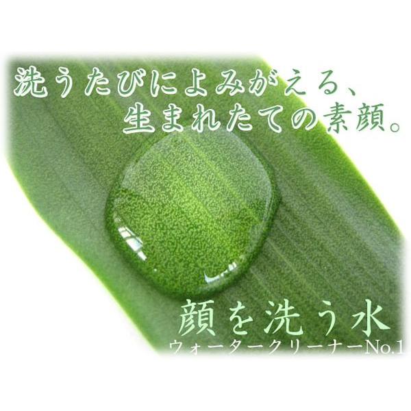 カミヤマ美研 No.1 ウォータークリーナー 1000ml 顔を洗う水 : 沖縄