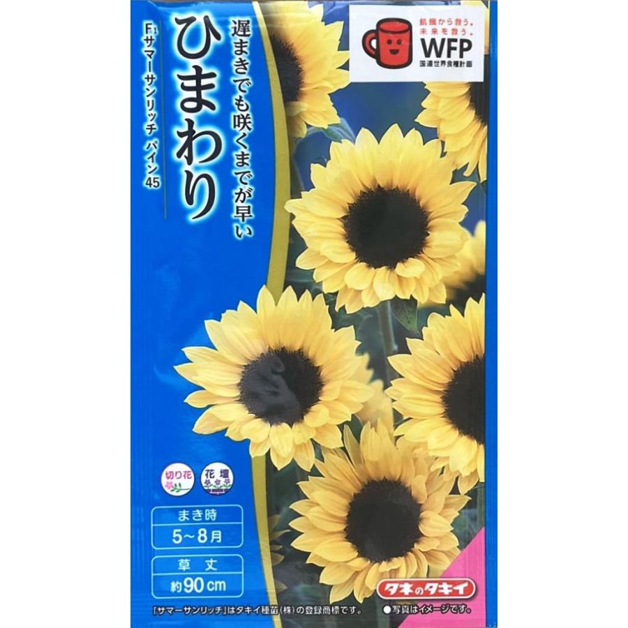 花種子 ひまわり F1 サマーサンリッチ パイン45 タキイ種苗のタネ