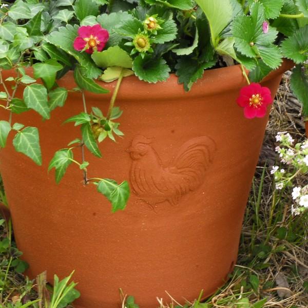 ウィッチフォード 植木鉢 カントリーポット 直径33cmサイズ Whichford