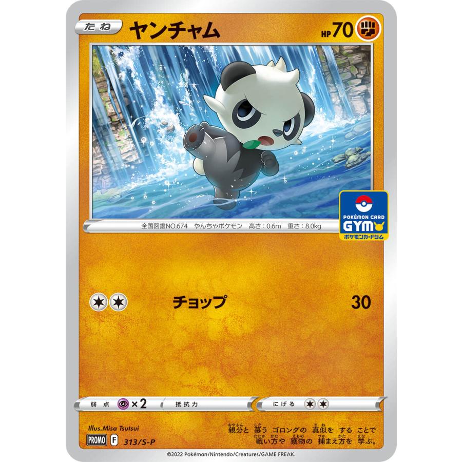 第12弾 ソード＆シールド プロモカードパック ポケモンカードジム