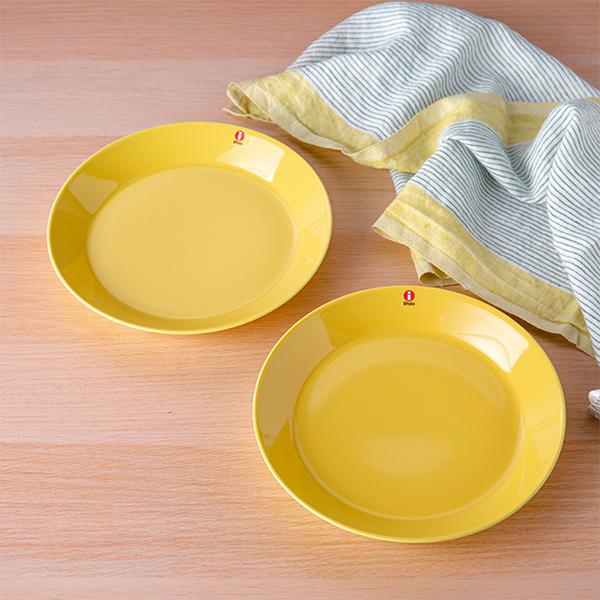 iittala（イッタラ） 【並行輸入品】 ティーマ Teema 21cm 2枚セット