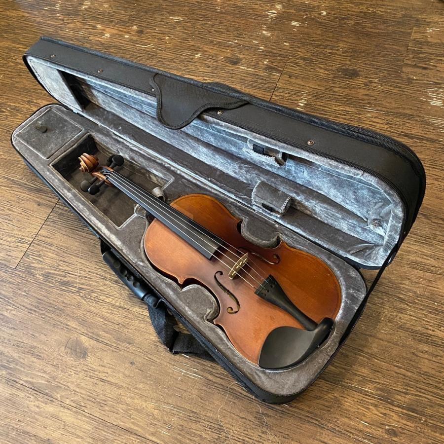 Hallstatt V-12 String Instrument ハルシュタット バイオリン