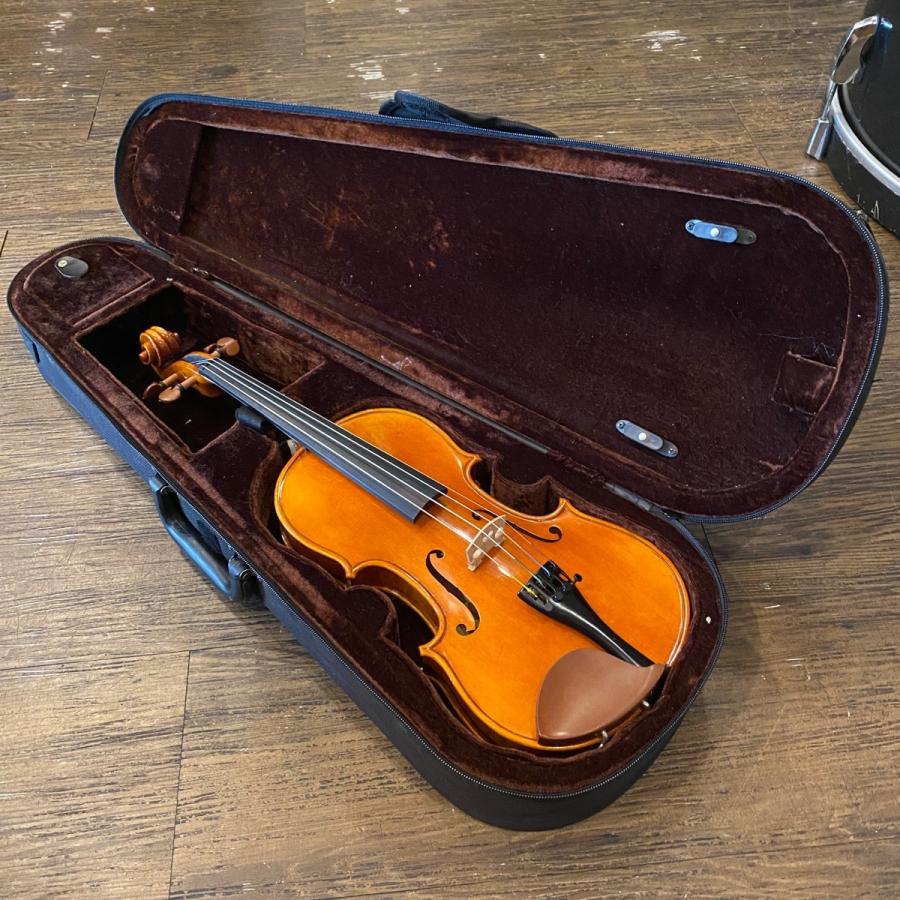 Carlo giordano VS-2 3/4 String Instrument カルロジョルダーノ