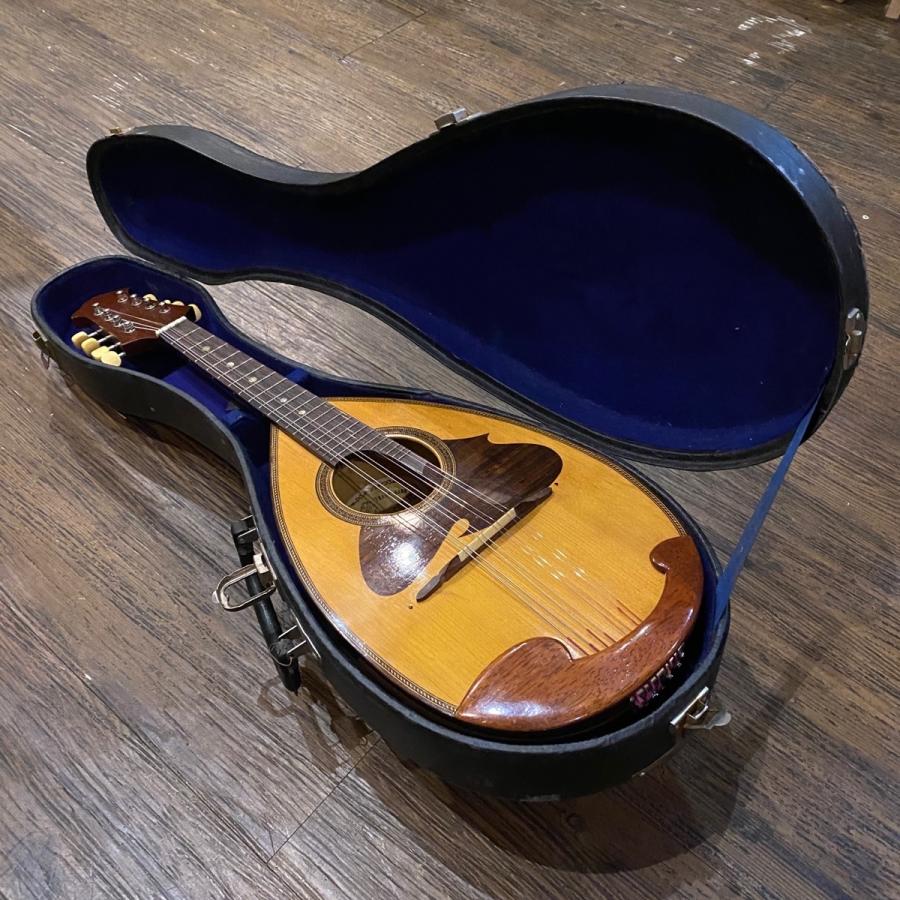鈴木楽器製作所 SUZUKI No.228 1972年 Mandolin スズキ マンドリン