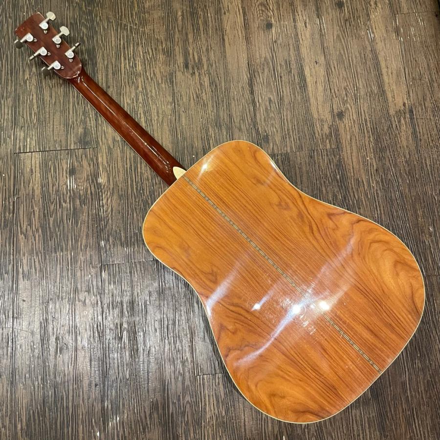 Morris Morris MD-510 Acoustic Guitar アコースティックギター